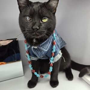 Turquoise and Red Beaded Necklace